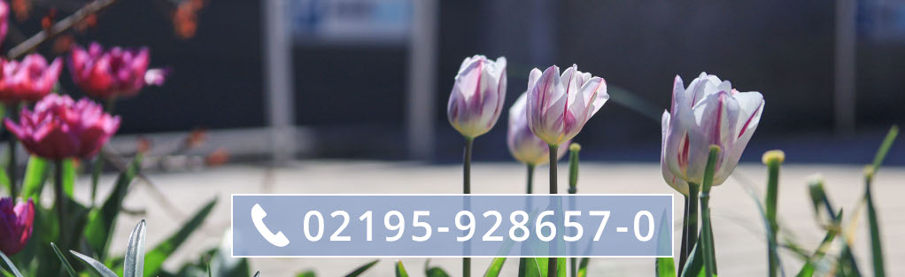 medipro_deutschland_slider_home_17-telefon