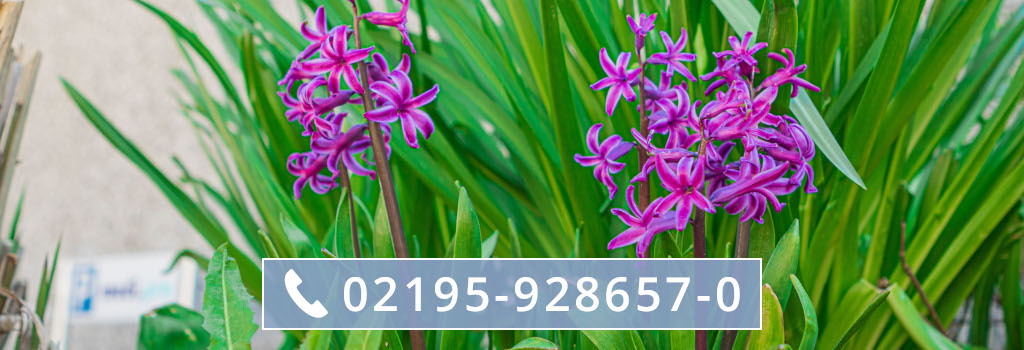 medipro_deutschland_slider_home_18-telefon